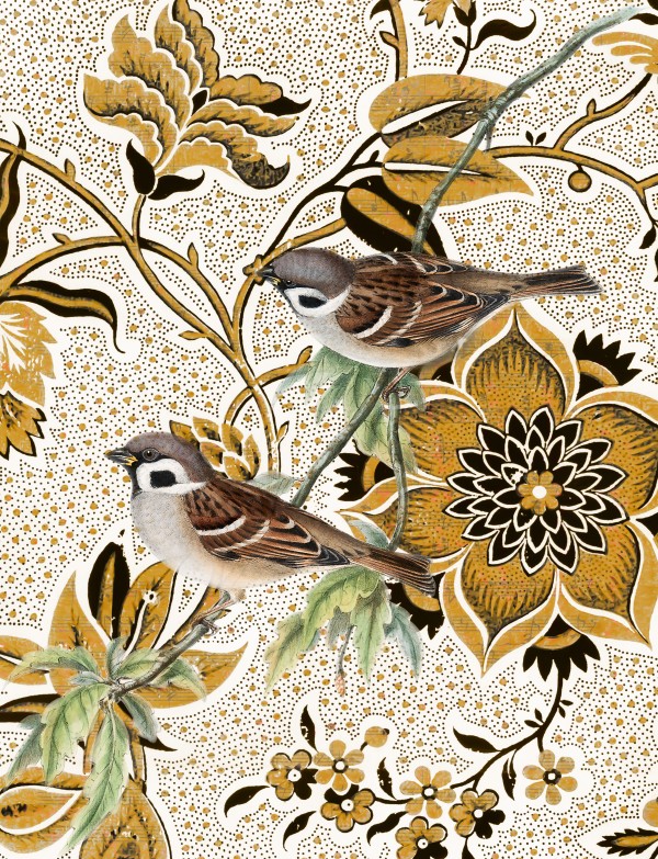 Sparrow Print