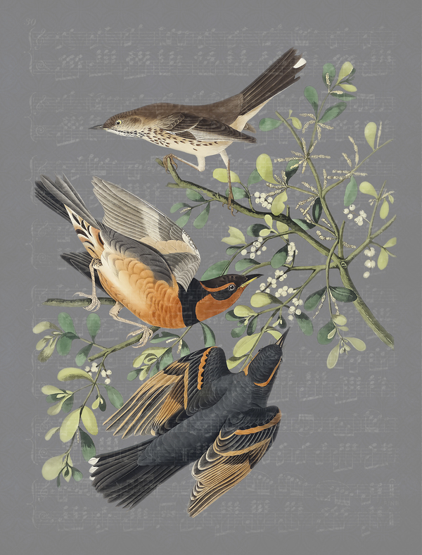 Bringing the Music 2 Print