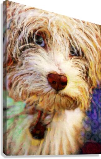 Arturo Canvas Print