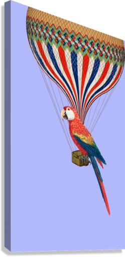 Parrot Canvas Print