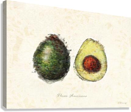 Avocado Canvas Print