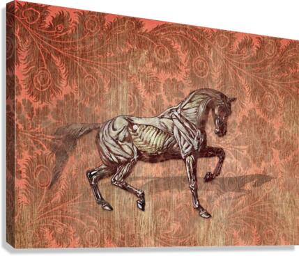 MY BARN Canvas Print