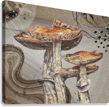 Magic Mushroom Canvas Print