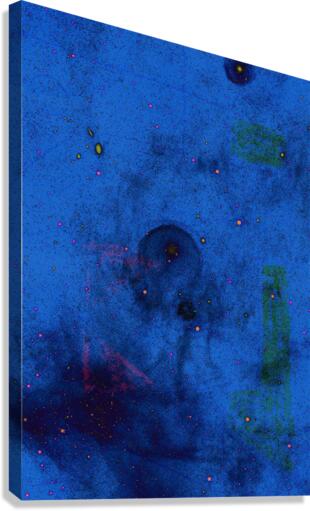 Starry Night Canvas Print