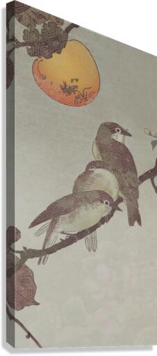 Birds on a Branch Canvas Print