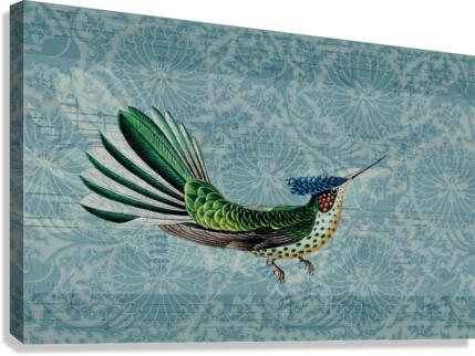 Hummingbird Canvas Print