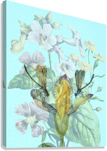 Dragonfly Duet Canvas Print