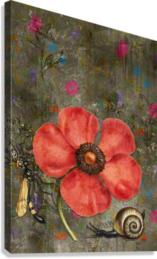 Poppy Snail 2 Canvas Print