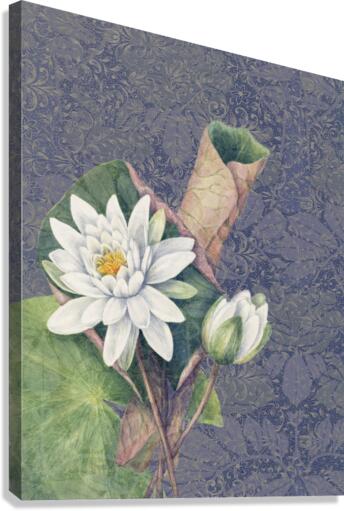 Lotus Canvas Print