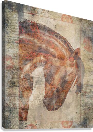 Designer Horse 2 Canvas Print