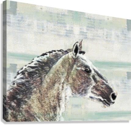 Wavy Horse Canvas Print