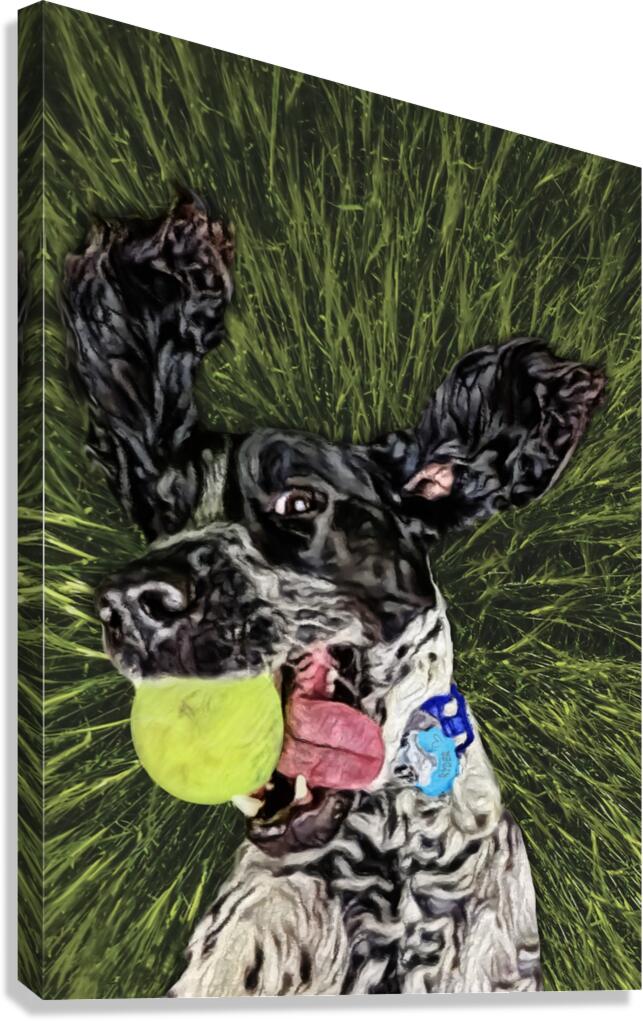 ryder Canvas Print