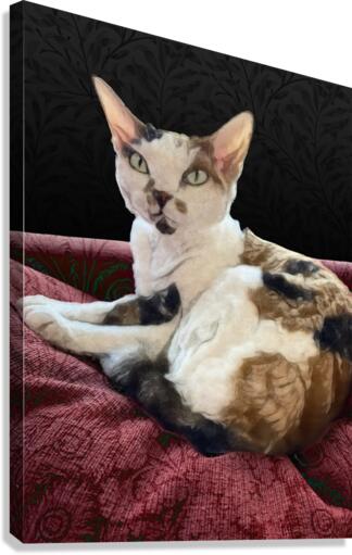 Cheesecake Canvas Print