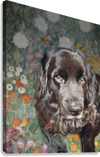 Mags Canvas Print