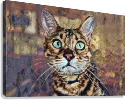 Bengal Canvas Print