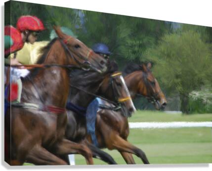 By a Stroke Canvas Print
