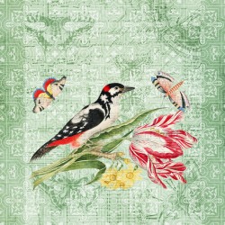 Birds and Butterflies