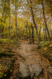 Fall path