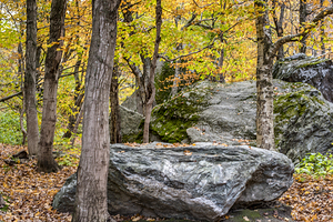 Fall Rock