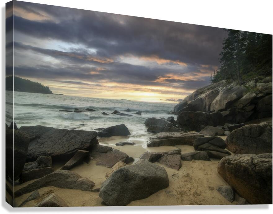 Acadia beach Canvas Print