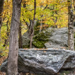 Fall Rock