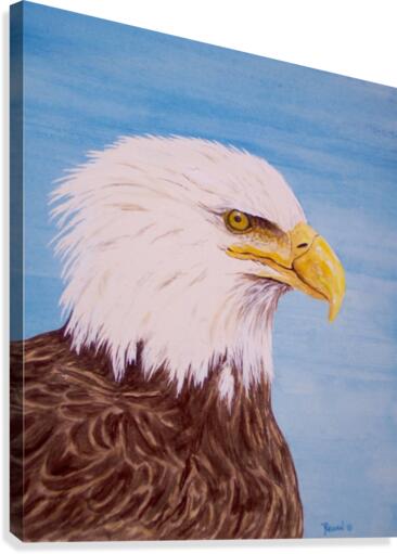 Eagle  Canvas Print