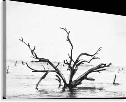 Lone Tree Canvas Print