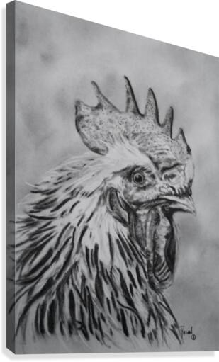 Rooster Canvas Print