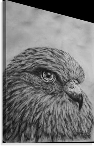 Bird Canvas Print