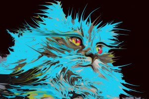 cat in turquoise
