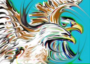 bald eagles