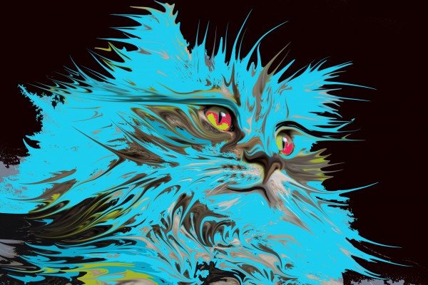 cat in turquoise by irma engelbrecht