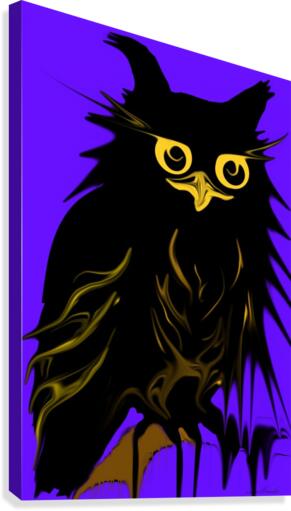 owl Canvas Print