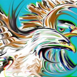 bald eagles