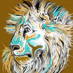 african lion