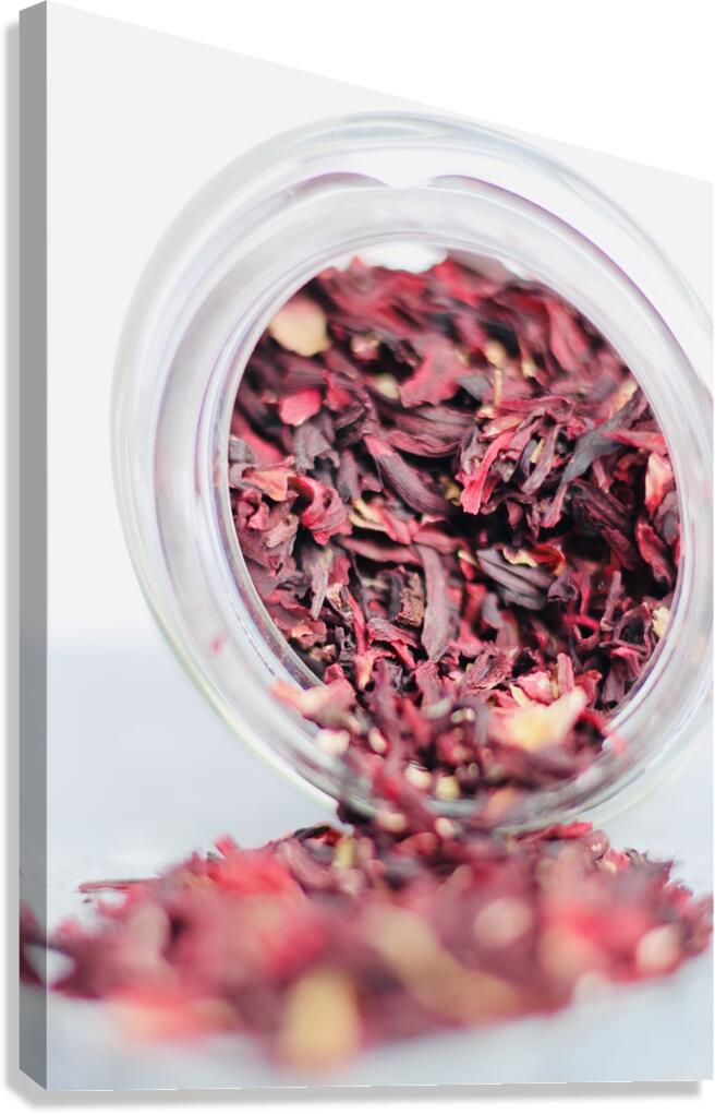 Dried Hibiscus Flower   Canvas Print