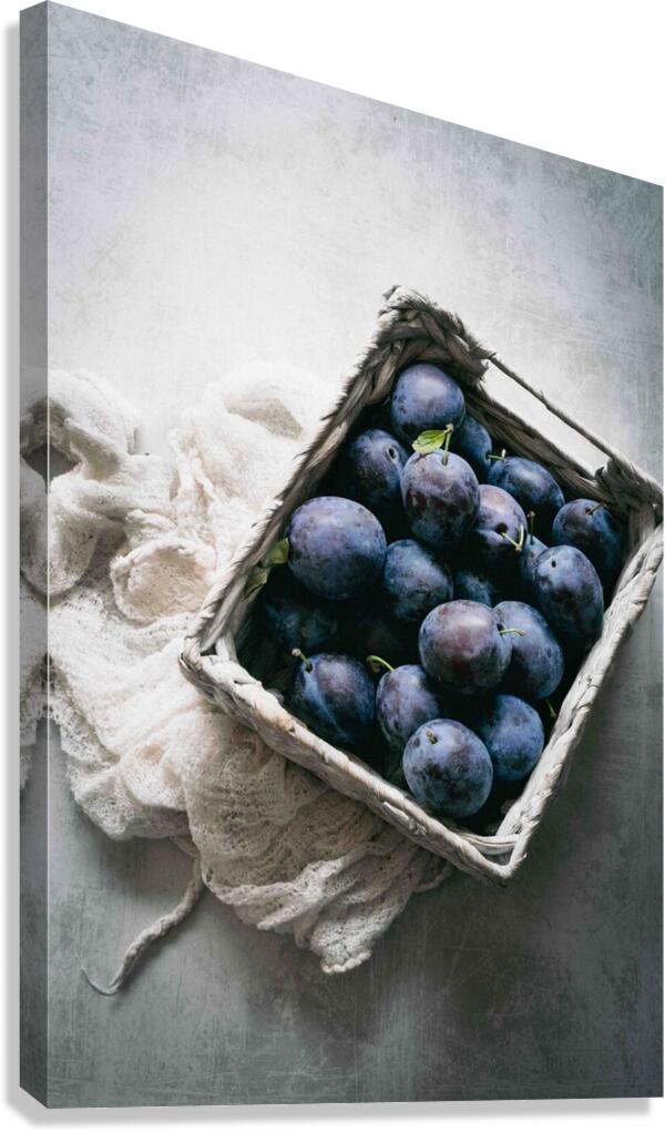 Plum Basket Canvas Print