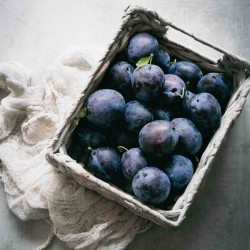 Plum Basket