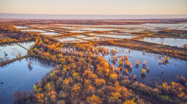 DD Duck Club | Lonoke AR by Provision UAS