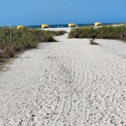 Onward to the beach