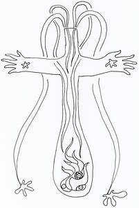 img20241101 17064848