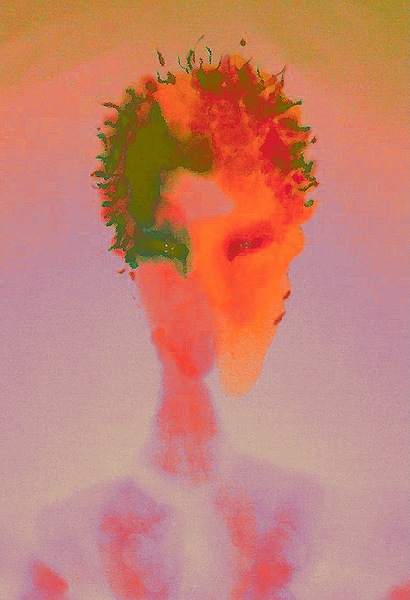 image 315 Print