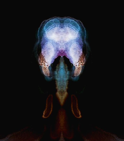 Insect Head 4 Print