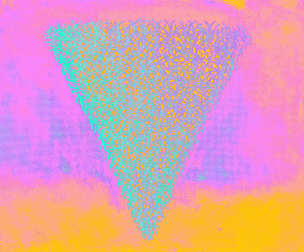 image 451 Print