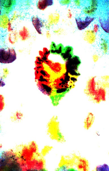 image 53 Print