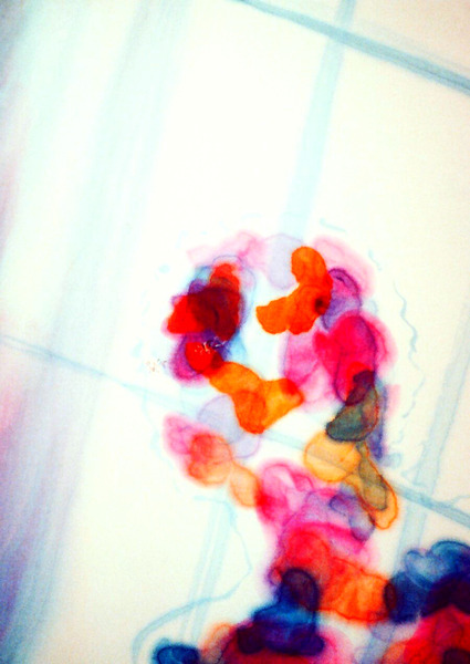 image 67 Print