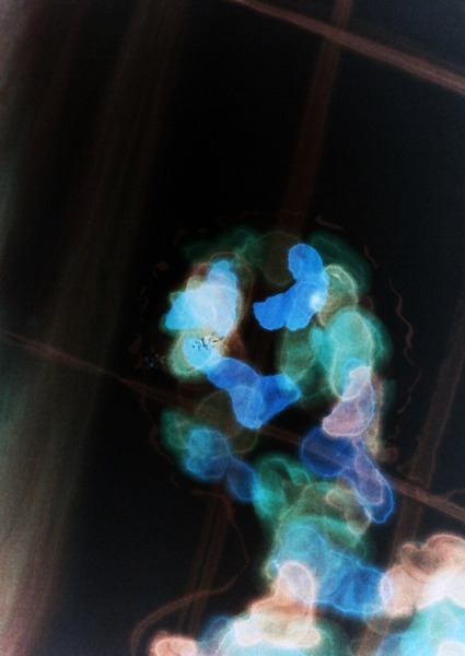 image 69 Print