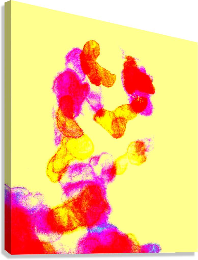 image 274 Canvas Print