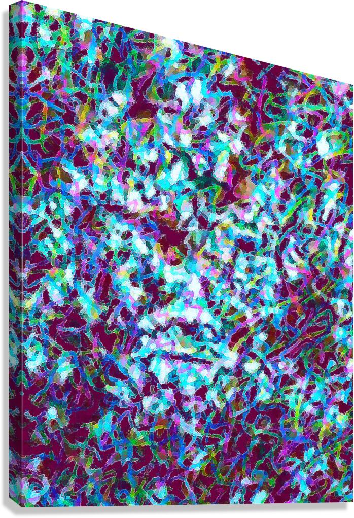 image 300 Canvas Print