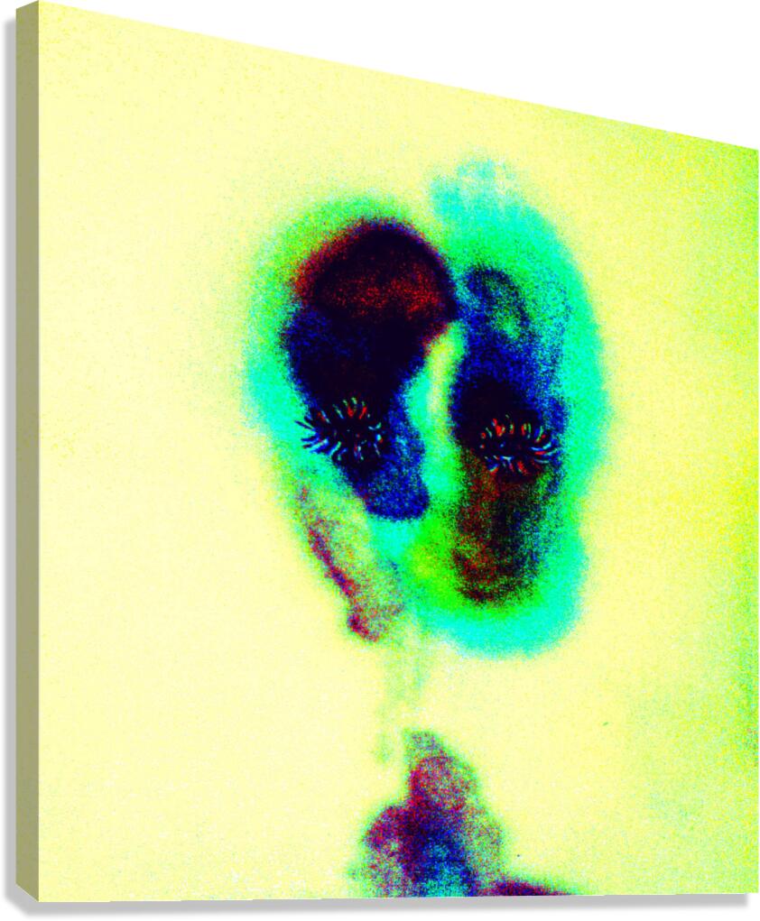 image 89 Canvas Print